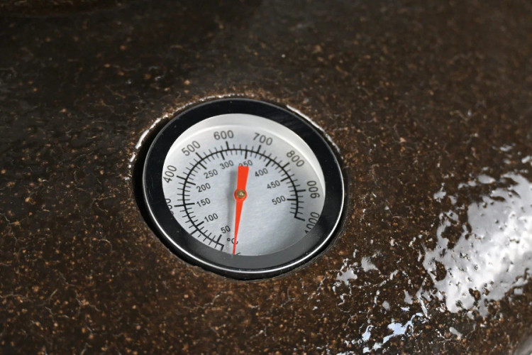 Тандыр Арслан в Саратове