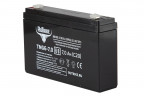 Тяговый гелевый аккумулятор RuTrike TNG 6-7.0 (6V7.0 A/H C20) в Саратове