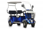 Пассажирский электротрицикл Rutrike Gelbert Hara в Саратове