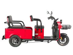 Пассажирский электротрицикл Wanshida LC-F200
