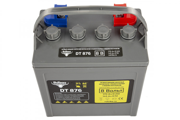 Тяговый аккумулятор RuTrike WET DT876 (T-875) 8V120A/H C3 в Саратове