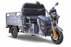 Грузовой электрический трицикл RuTrike Гибрид 1500 в Саратове