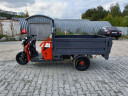 Грузовой электрический трицикл Pаntеrа Гидрaвлика 75V1500W в Саратове