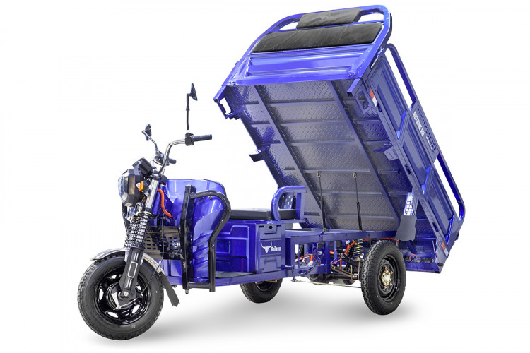 Грузовой электрический трицикл RuTrike D4 1800 60V1200W в Саратове